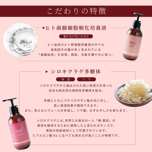 The Revival Shampoo Refill