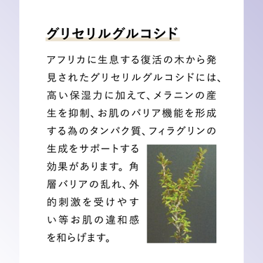 Translation missing: ja.プロフェッショナル リバイタセラム