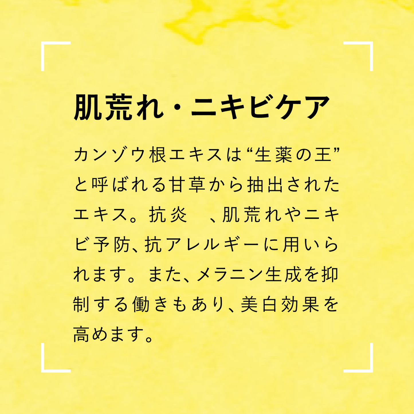éloge PROFESSIONAL C serum – eloge公式オンラインストア