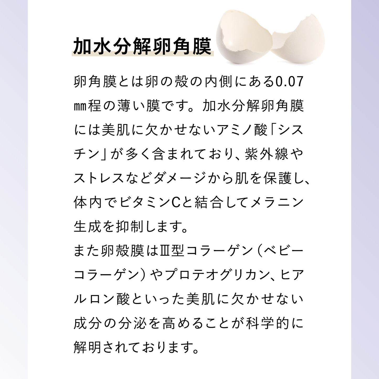 éloge PROFESSIONAL Revita serum – eloge公式オンラインストア