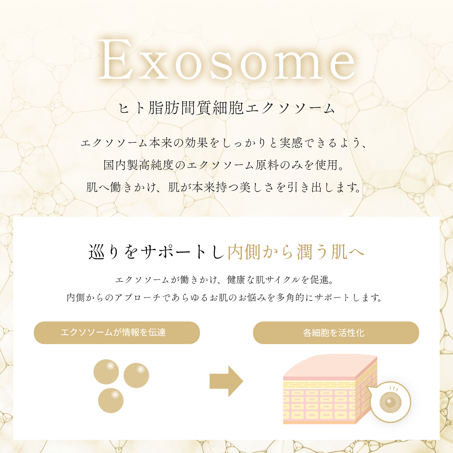 リバイバルマスク